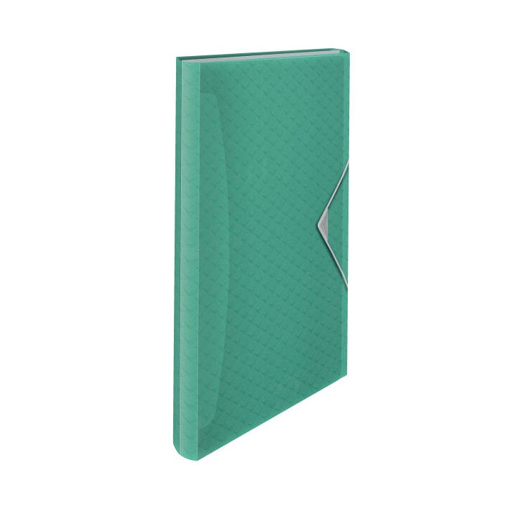 TECZKA ROZSZERZANA A4 ESSELTE COLOUR'BREEZE 626253 ZIELONY 6 PRZEGRÓDEK