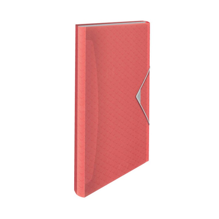 TECZKA ROZSZERZANA A4 ESSELTE COLOUR'BREEZE 628447 KORALOWY 6 PRZEGRÓDEK