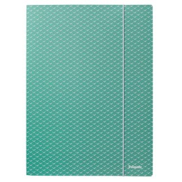 TECZKA Z GUMKĄ A4 ESSELTE COLOUR'BREEZE 628493 ZIELONY KARTON