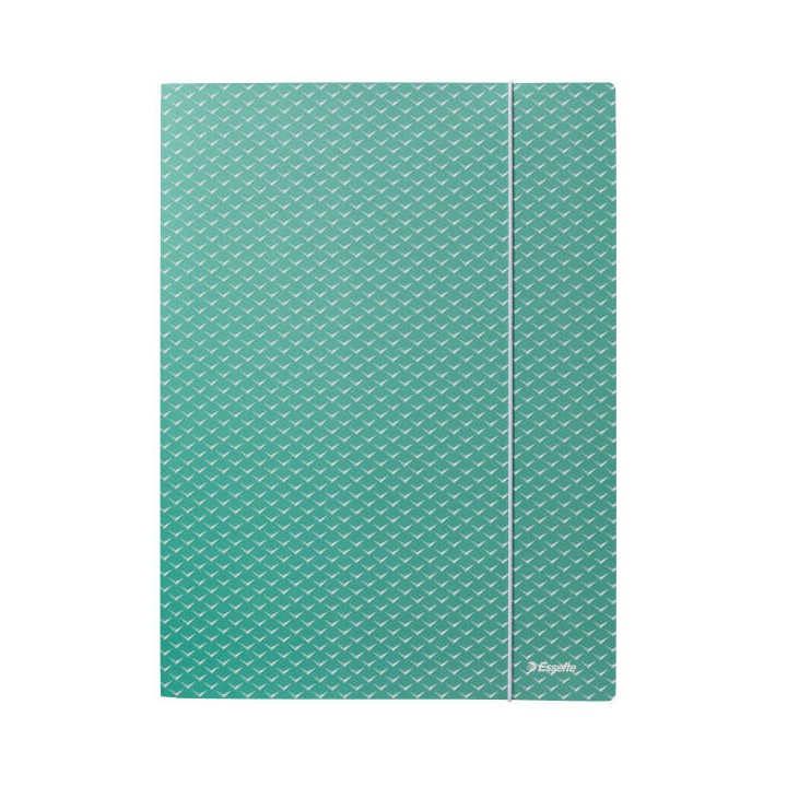 TECZKA Z GUMKĄ A4 ESSELTE COLOUR'BREEZE 628493 ZIELONY KARTON
