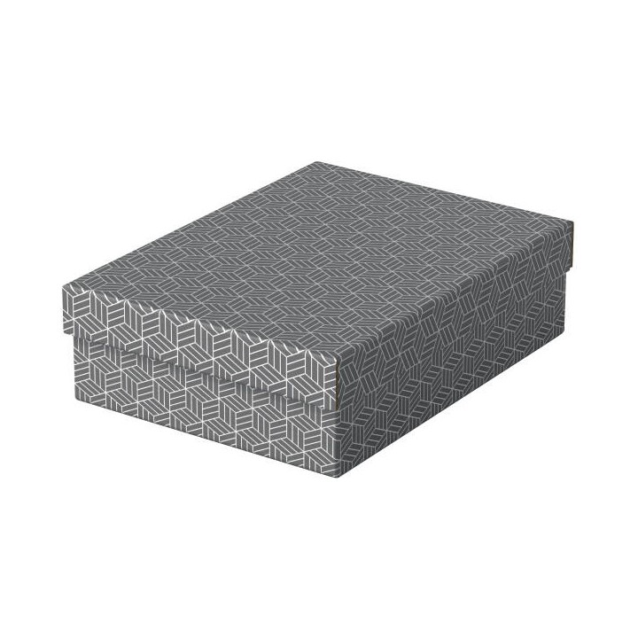 PUDŁO ARCHIWIZACYJNE 265X100X360MM ESSELTE 628285 SZARY 3SZT