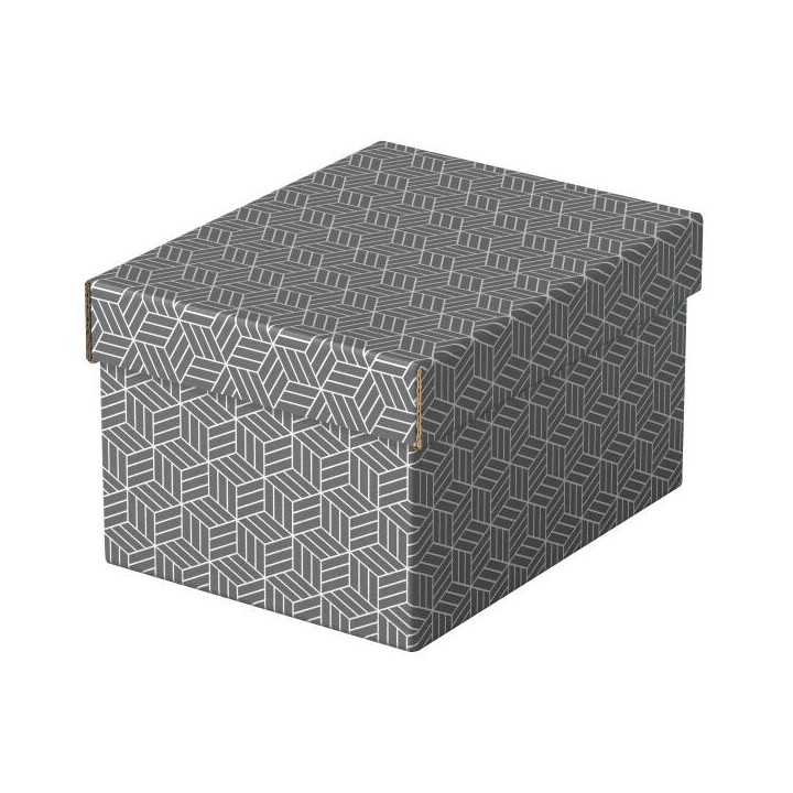 PUDŁO ARCHIWIZACYJNE 200X150X255MM ESSELTE 628281 SZARY 3SZT