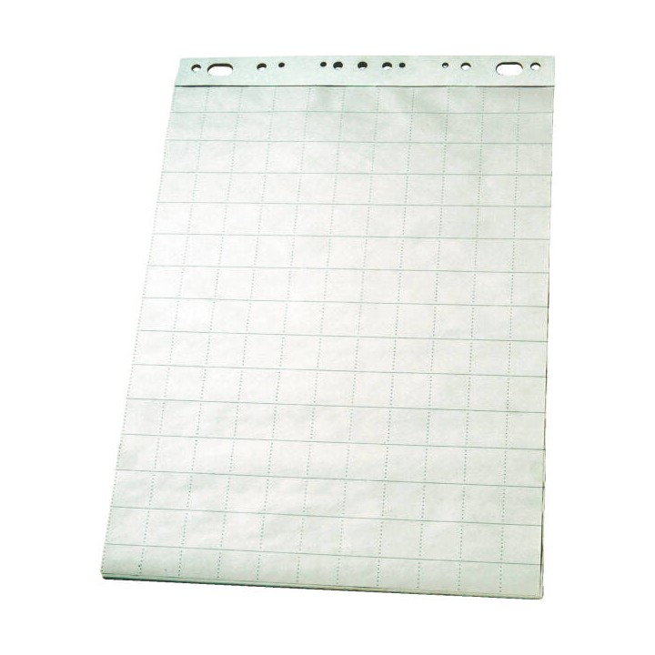 BLOK DO FLIPCHARTÓW 60X84CM ESSELTE 96551 GŁADKI 50ARK