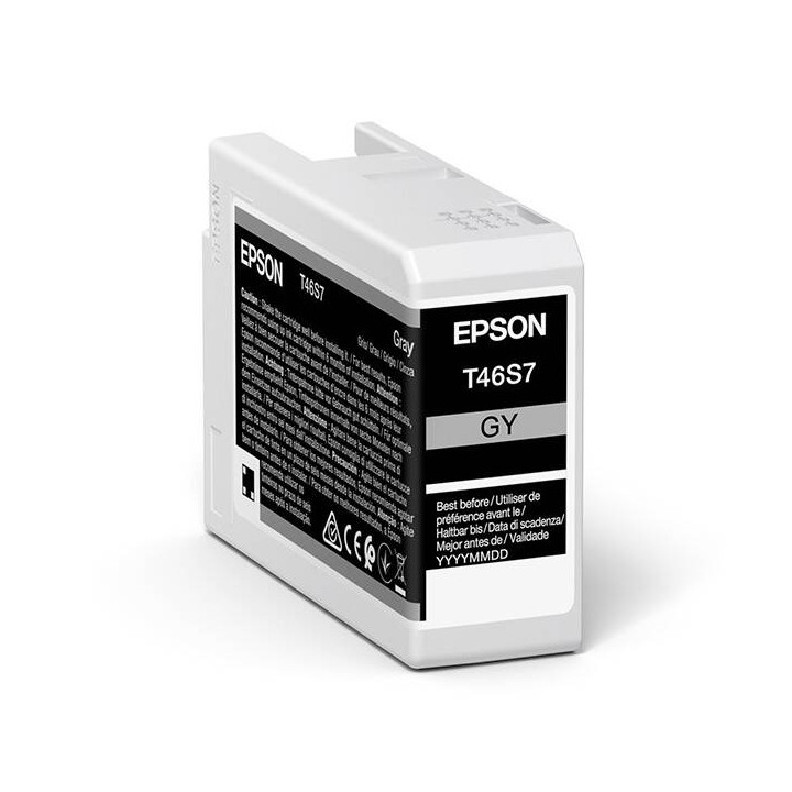 EPSON ORYGINALNY INK / TUSZ C13T46S700, GRAY