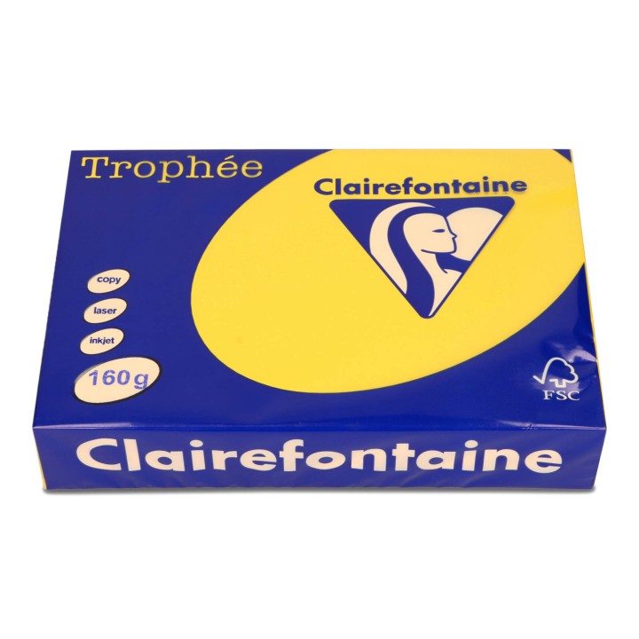 PAPIER KSERO KOLOR A4 TROPHEE 1053PC SŁONECZNIKOWY 160G 250 ARK