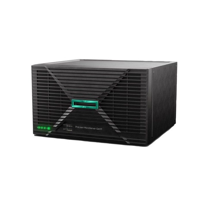 HEWLETT PACKARD ENTERPRISE SERWER MICROSERVER G11 E-2434 NHP P75207-425
