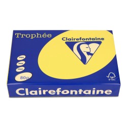 PAPIER KSERO KOLOR A4 TROPHEE 1877PC SŁONECZNY 80G 500 ARK
