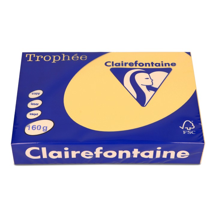 PAPIER KSERO KOLOR A4 TROPHEE 1103PC ZŁOTY ŻÓŁTY 160G 250 ARK