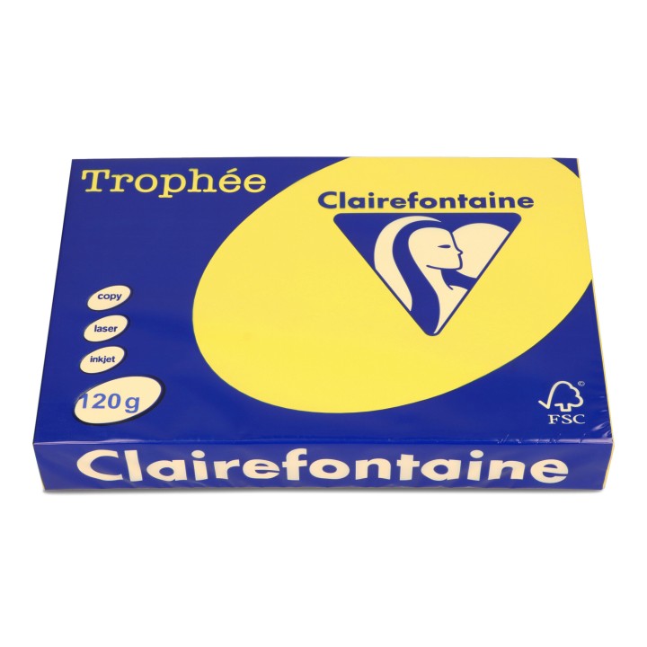PAPIER KSERO KOLOR A4 TROPHEE 1292PC SŁONECZNY 120G 250 ARK