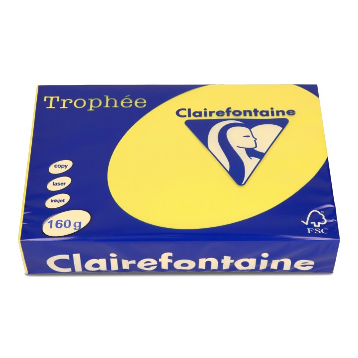 PAPIER KSERO KOLOR A4 TROPHEE 1029PC SŁONECZNY 160G 250 ARK