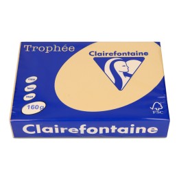 PAPIER KSERO KOLOR A4 TROPHEE 1102PC BRĄZ WIELBŁĄDZI 160G 250 ARK
