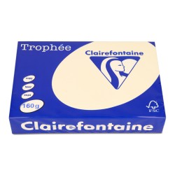 PAPIER KSERO KOLOR A4 TROPHEE 1101PC PIASKOWY 160G 250 ARK