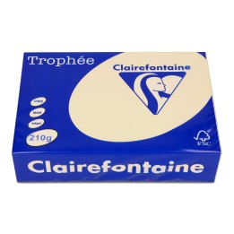 PAPIER KSERO KOLOR A4 TROPHEE 2204PC PIASKOWY 210G 250 ARK