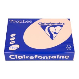 PAPIER KSERO KOLOR A4 TROPHEE 1104PC ŁOSOSIOWY 160G 250 ARK