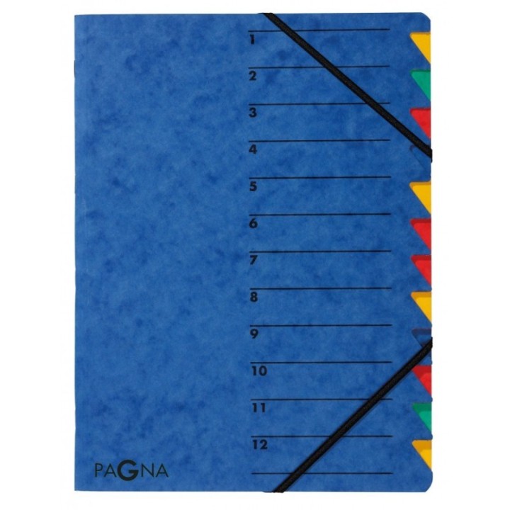 TECZKA Z GUMKĄ SEGREGUJĄCA 12 CZĘŚCIOWA DURABLE PAGNA EASY P2413102 NIEBIESKA TEKTUROWA